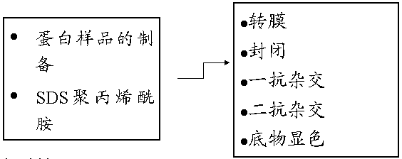 欧博ABG(中国)有限公司官网