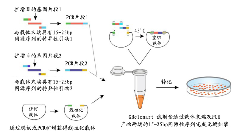 欧博ABG(中国)有限公司官网