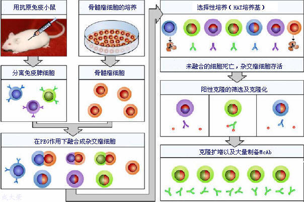 欧博ABG(中国)有限公司官网