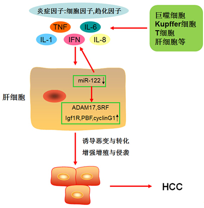 欧博ABG(中国)有限公司官网