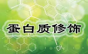 欧博ABG(中国)有限公司官网