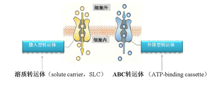 欧博ABG(中国)有限公司官网