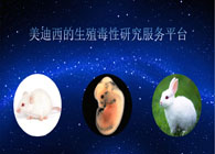 欧博ABG的生殖毒性研究效劳平台