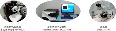 欧博ABG生殖毒属性效劳实验仪器