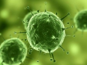 Nature：治疗实体瘤有了明确靶标，，，，，，肿瘤干细胞确实保存