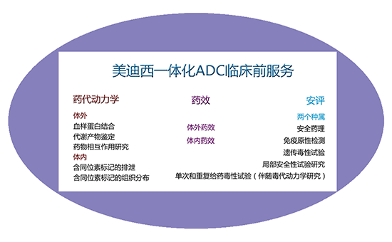 欧博ABG一体化ADC临床前效劳