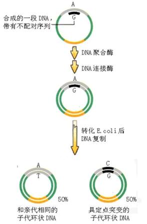 欧博ABG(中国)有限公司官网