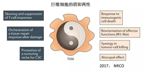 欧博ABG(中国)有限公司官网