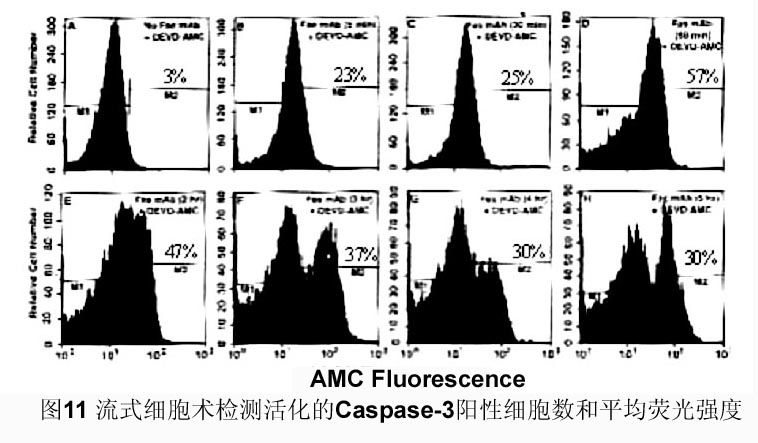 欧博ABG(中国)有限公司官网