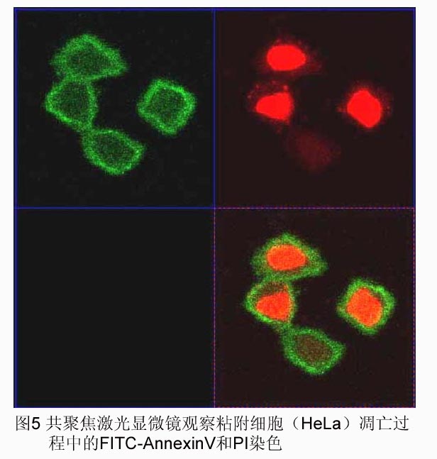 欧博ABG(中国)有限公司官网