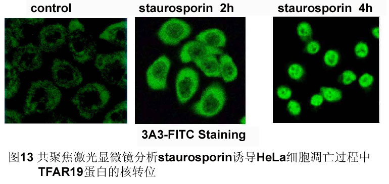 欧博ABG(中国)有限公司官网