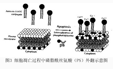 欧博ABG(中国)有限公司官网