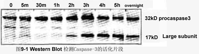 欧博ABG(中国)有限公司官网