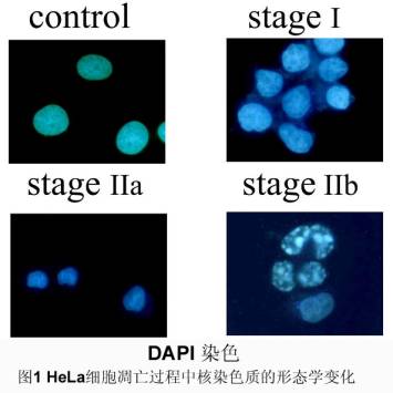 欧博ABG(中国)有限公司官网