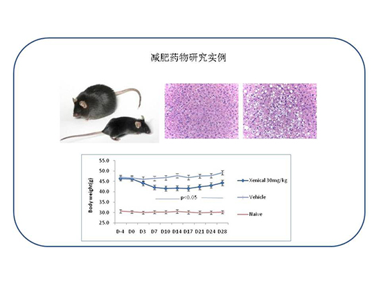 欧博ABG(中国)有限公司官网
