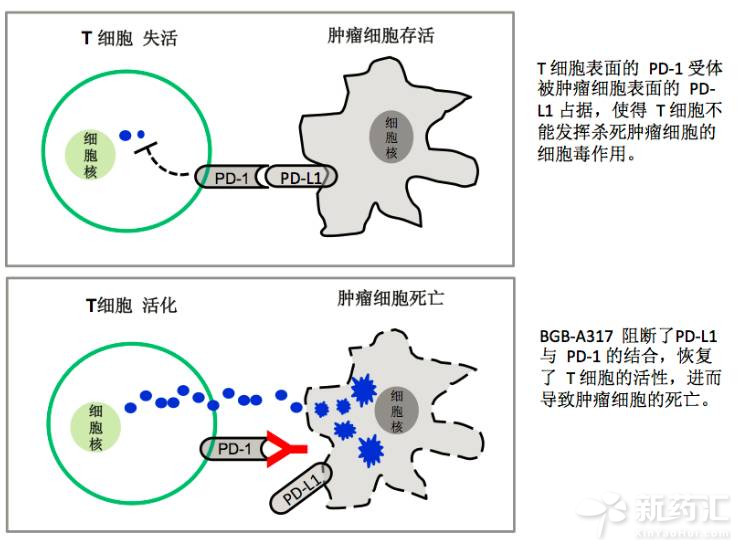 欧博ABG(中国)有限公司官网