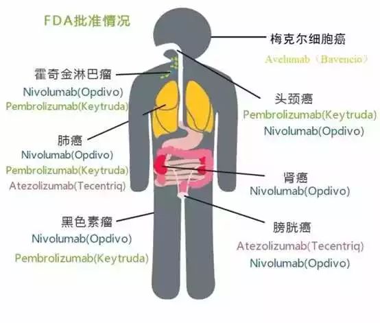 欧博ABG(中国)有限公司官网