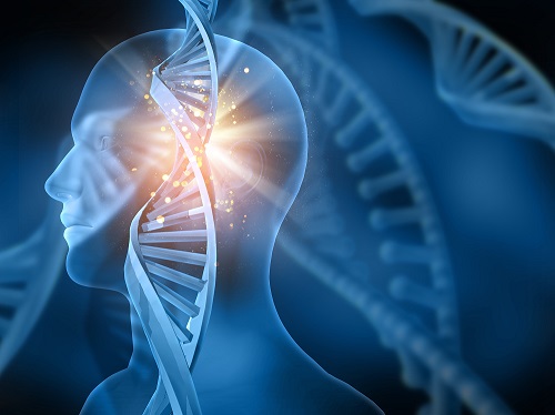 欧博ABG助力新药研发又一阶：海和生物与思绪迪医药开启抗肿瘤新药相助
