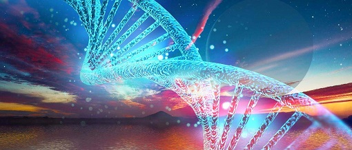 欧博ABG(中国)有限公司官网