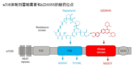 欧博ABG(中国)有限公司官网