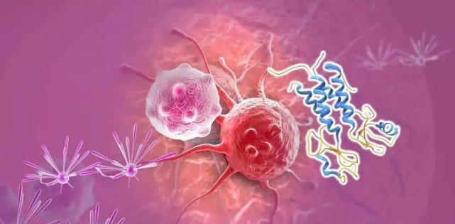 【盘货】高选择性mTOR抑制剂的研究历程_欧博ABG生物医药