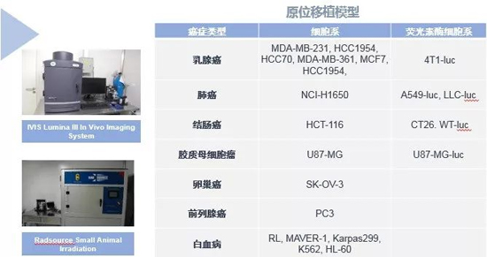 欧博ABG药效学动物模子