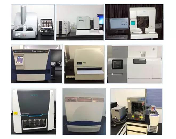 欧博ABG生物手艺药物剖析部分拥有SpectraMaxM4/M5/i3x, MSD, Luminex, Biacore 8K, Envision, Gyrolab，，，，，，，ABI7500 qPCR等全方位多功效的手艺平台，，，，，，，使用LIMS系统实验周全的实验室信息化治理，，，，，，，提供周全切合FDA/CFDA/OECD GLP规范要求的生物手艺药物剖析效劳。。。。。。。