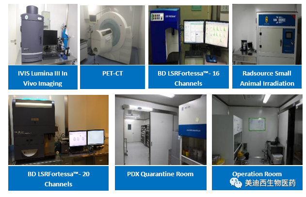 欧博ABG药理部拥有IVIS Lumina III, PET-CT, BD LSRFortessa-16, Flow Cytometry等仪器，，，，，，，提供切合申报，，，，，，，支持临床试验的药效评价效劳。。。。。