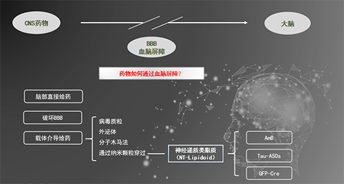 人工合成NT类脂质开放血脑屏障，，，，，为CNS药物翻开新时势