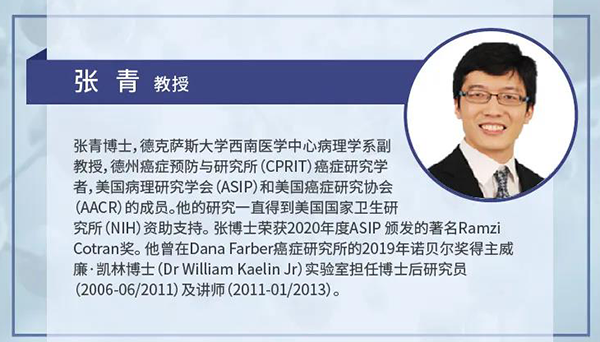 直播预告|诺奖实验室讲师张青教授做客欧博ABG云课堂，，，，，展现乳腺癌和肾癌治疗新靶点