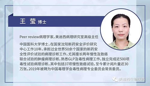 欧博ABG病理研究部高级主任王莹博士