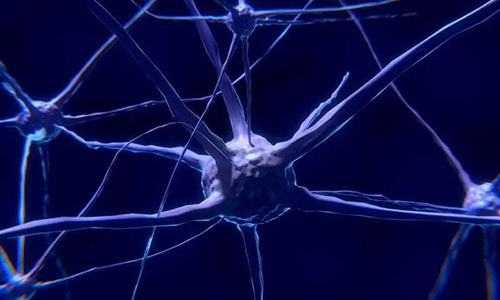 研究首次批注，，，，，，与年岁有关的认知损失可能主要是由一种可逆的心理性“阻滞”而不是永世性的降解引起的。。。。。
