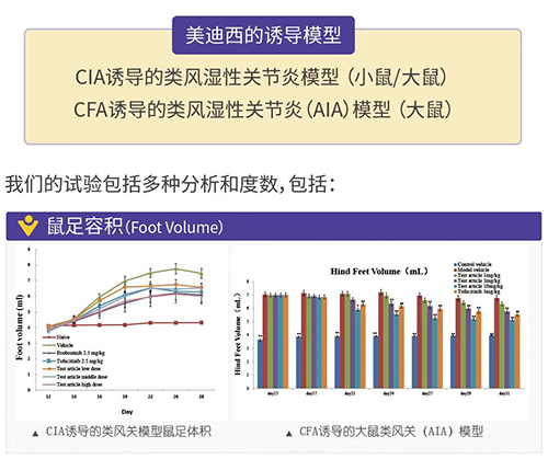 欧博ABG诱导的类风湿性枢纽炎模子