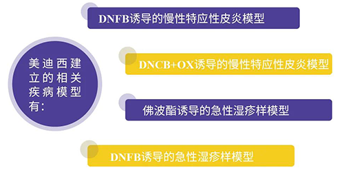欧博ABG建设的特应性皮炎及湿疹模子