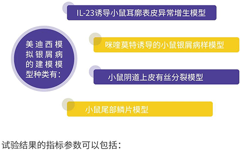 欧博ABG模拟银屑病的建模模子种类