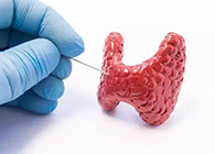 【Science速递】揭开甲状腺的神秘面纱，，，，，，开启代谢药物新征程