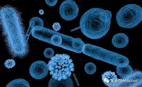 20分钟，，，，，，，，大大都细菌都可以繁衍一代 欧博ABG生物医药