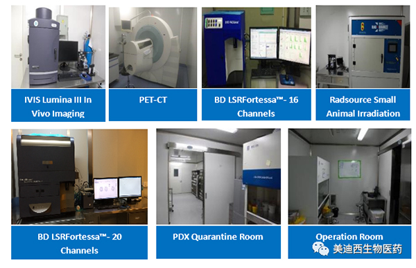 欧博ABG药理部拥有IVIS Lumina III, PET-CT, BD LSRFortessa-16，，，，，，Flow Cytometry等仪器