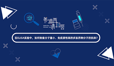 在ELISA实验，，，，，，怎样制备分子量小、免疫原性弱的多肽药物分子的抗体？？？？？？？