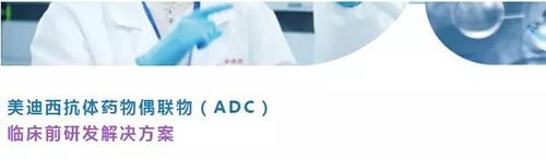 欧博ABG抗体药物偶联物（ADC）临床前研发解决计划.png
