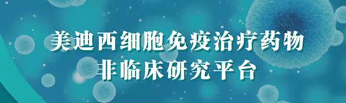 欧博ABG细胞免疫治疗药物非临床研究平台.png