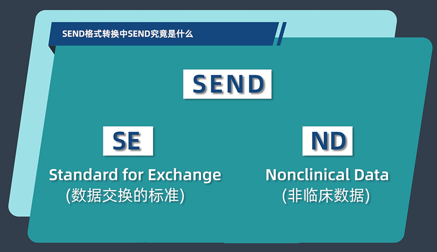 SEND名堂转换中的SEND事实是什么？？？？？？？