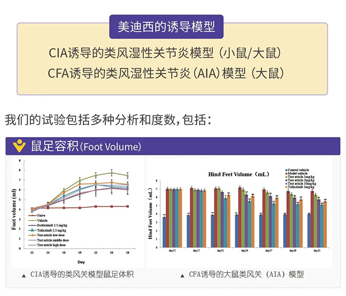 欧博ABG诱导的类风湿性枢纽炎模子-1.png