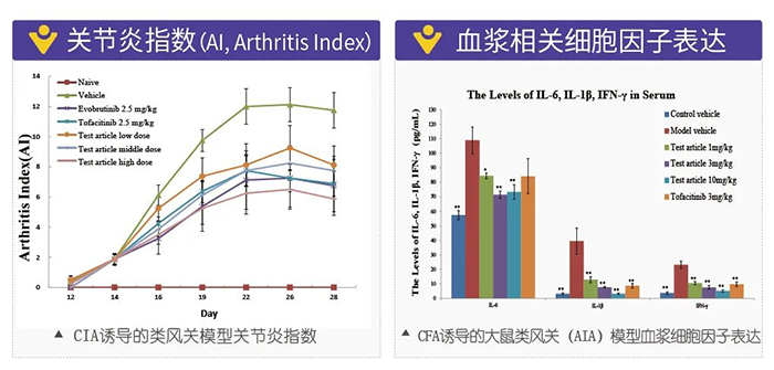 欧博ABG诱导的类风湿性枢纽炎模子-2.png