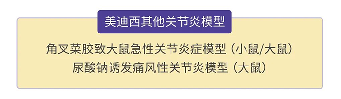 欧博ABG其他枢纽炎模子.png