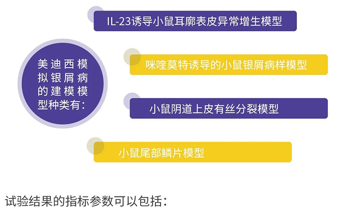 欧博ABG模拟银屑病的建模模子.png