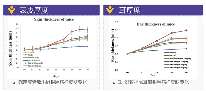 欧博ABG模拟银屑病的建模模子-试验效果的指标.png