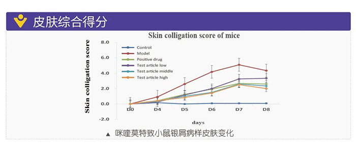 欧博ABG模拟银屑病的建模模子-皮肤综合得分.png