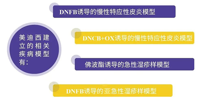 欧博ABG建设的特应性皮炎模子.png