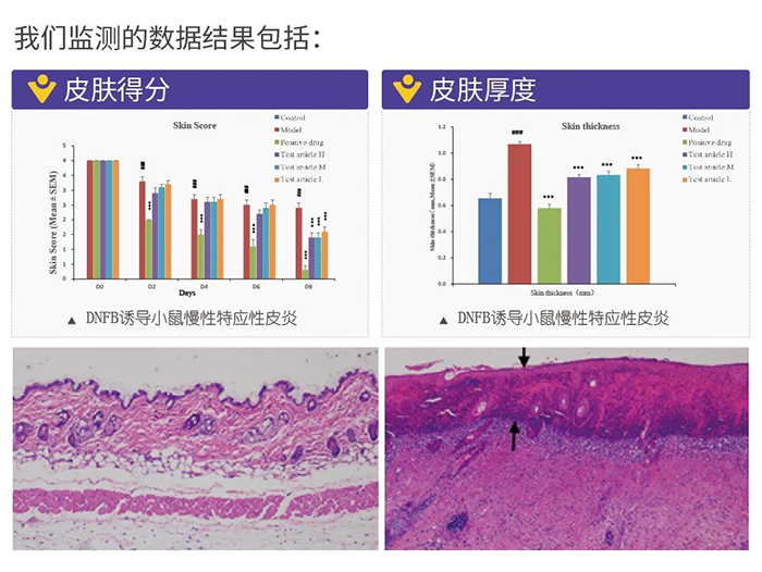 欧博ABG监测的数据效果.png